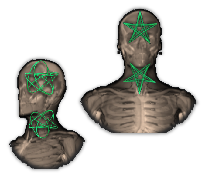 The Encephalic Aster and Cervical Aster within the body